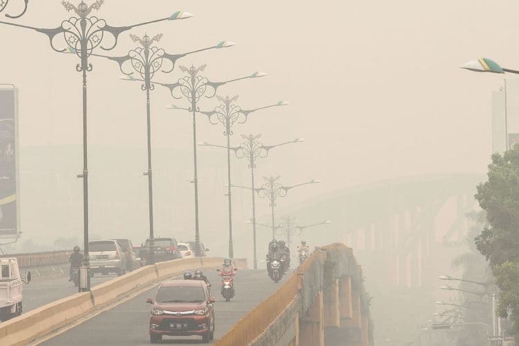 Pengendara menembus kabut asap dampak dari kebakaran hutan dan lahan di Pekanbaru, Riau, Kamis (12/9/2019). Kota Pekanbaru menjadi salah satu wilayah di Provinsi Riau yang terpapar kabut asap karhutla di mana dalam tiga hari belakangan ini kabut asap semakin parah dirasakan masyarakat di kota itu S